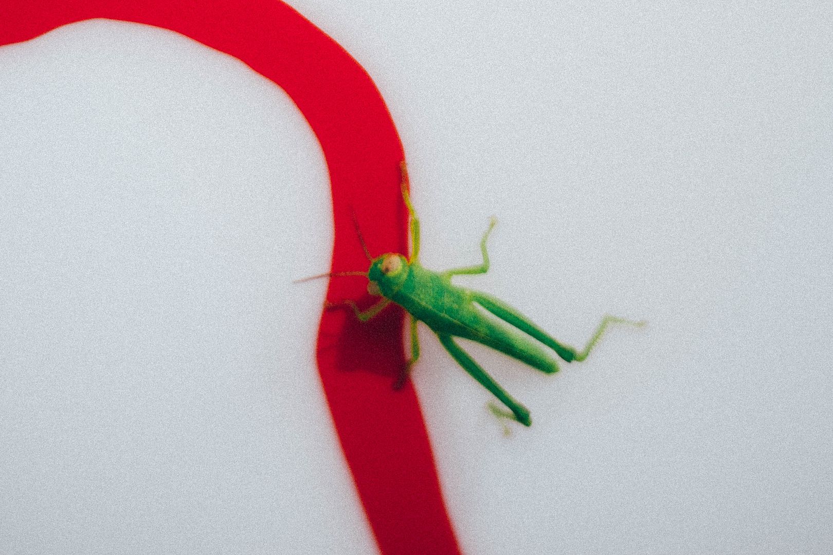 photo DSC04257-2_zpsrtg2rnlt.jpg