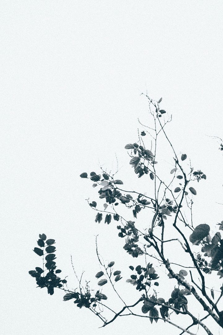 photo DSC04355-2_zpsrvivj5p1.jpg