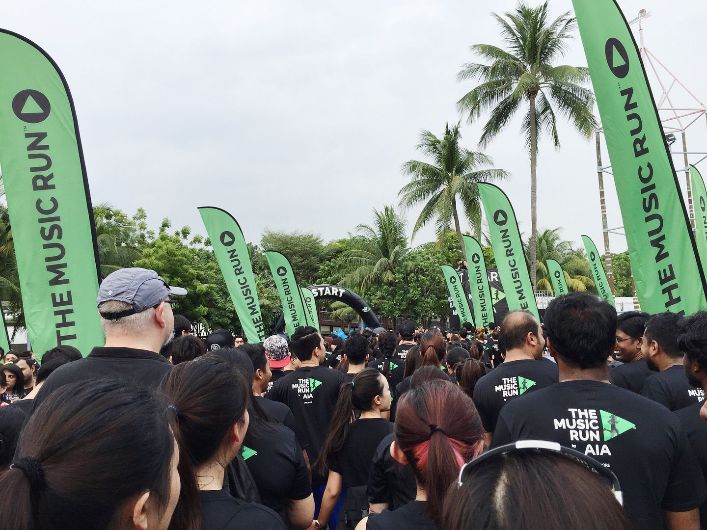  photo IMG_9805_zpselnweupz.jpg