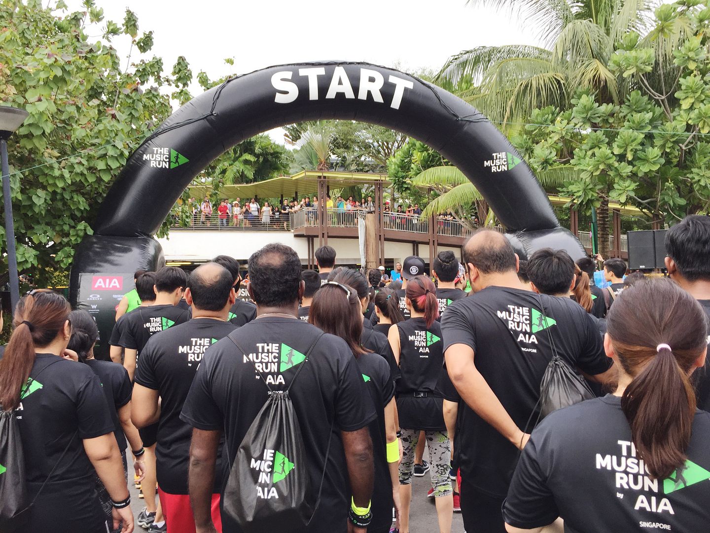  photo IMG_9806_zpsjljivfxo.jpg