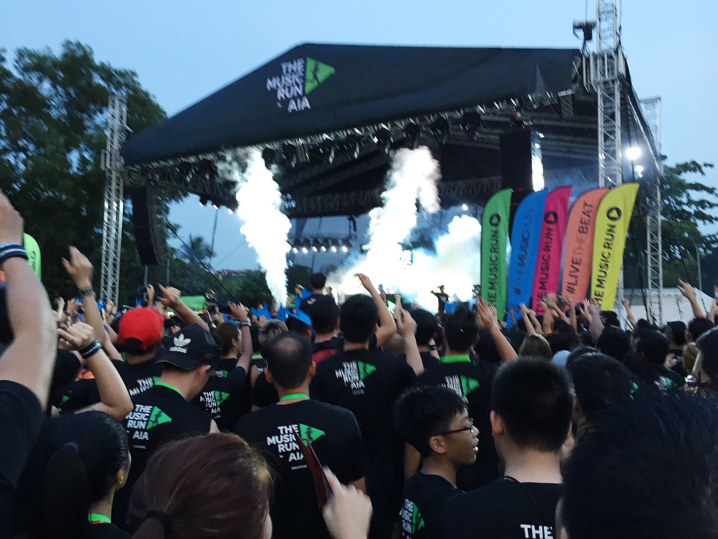  photo IMG_9818_zpsfmkvqjf5.jpg