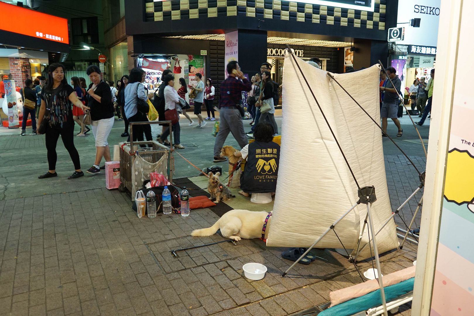  photo DSC00643_zpslgb5fyhk.jpg