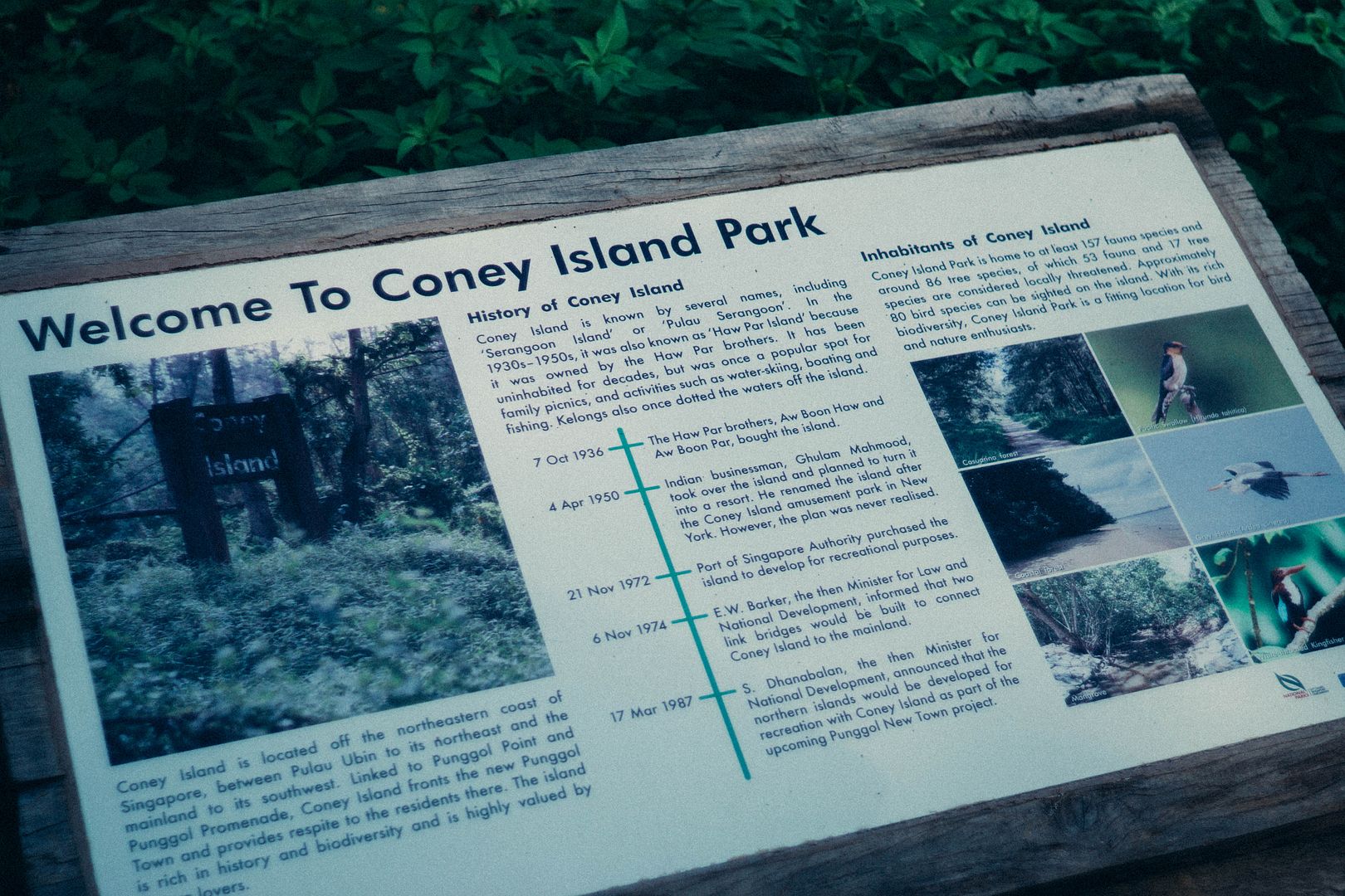  photo DSC01062_zpssegknmpg.jpg