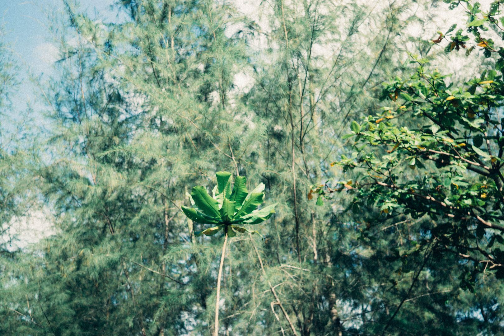  photo DSC01065_zpsrnshjcnv.jpg