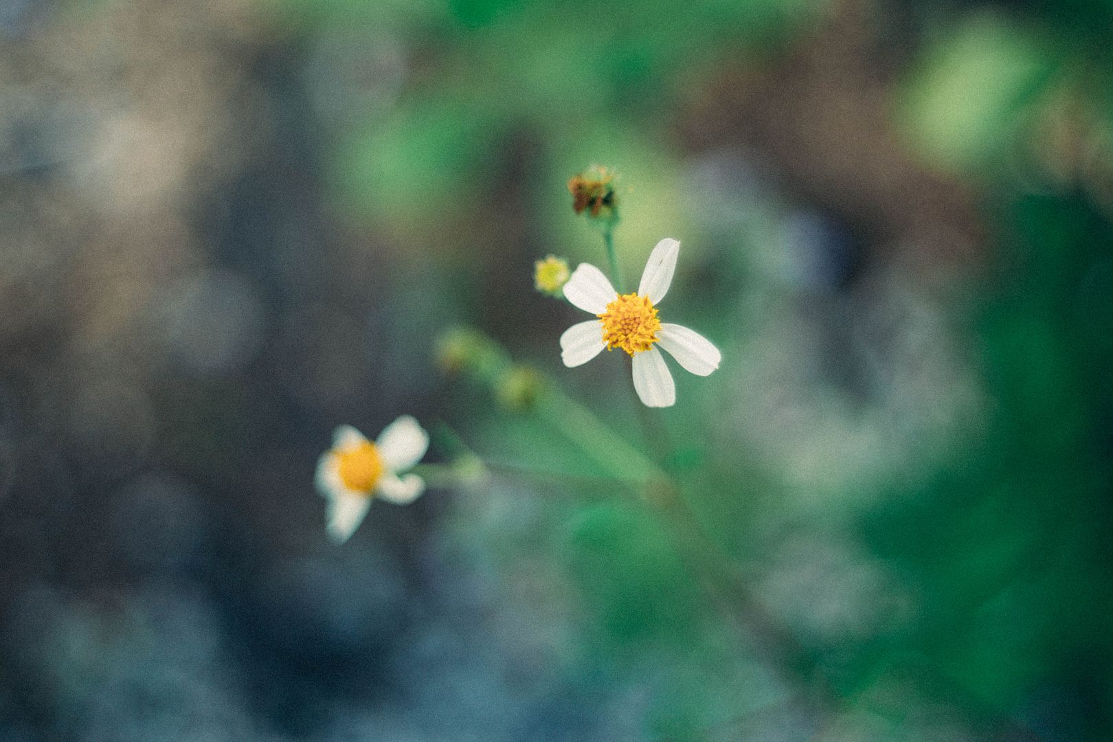  photo DSC01073_zpsm4a9grzq.jpg