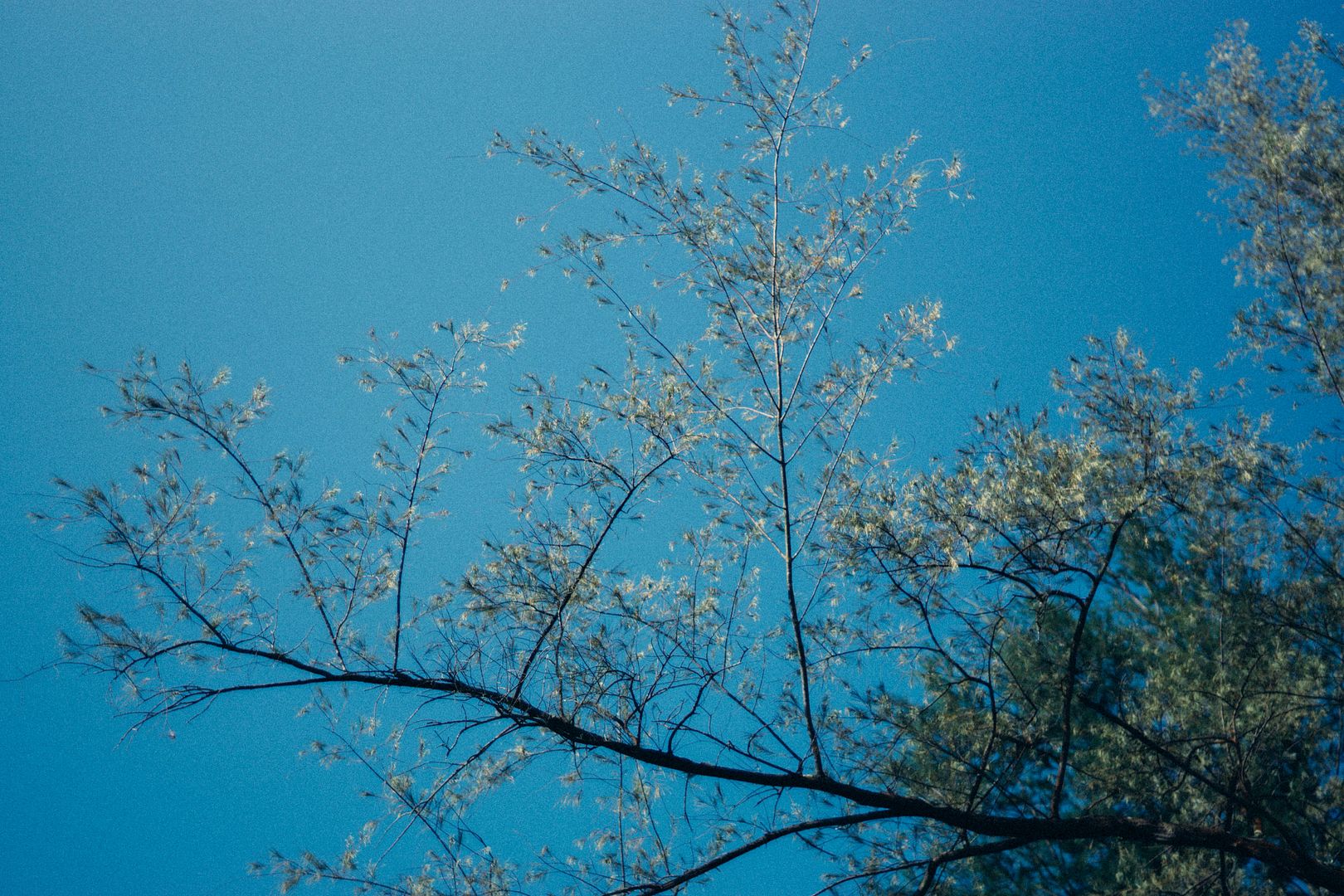  photo DSC01074_zpstuj2x5ru.jpg