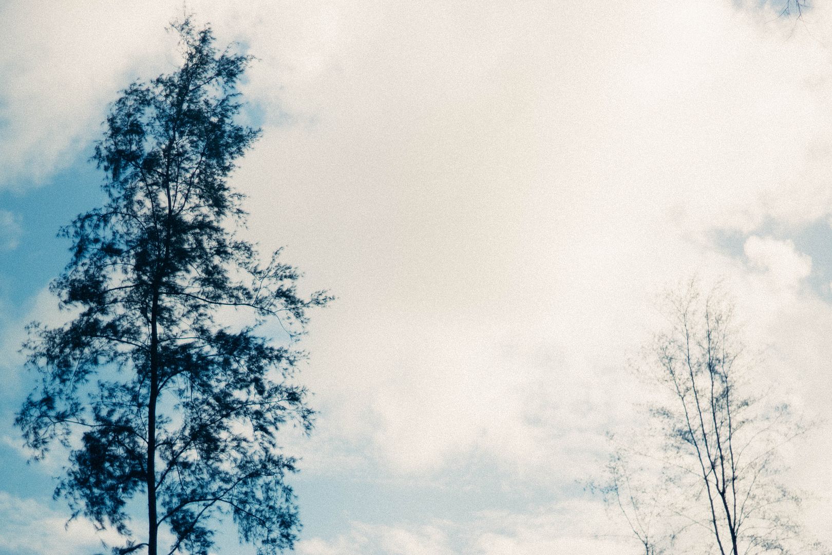  photo DSC01082_zpsp7guuq8f.jpg