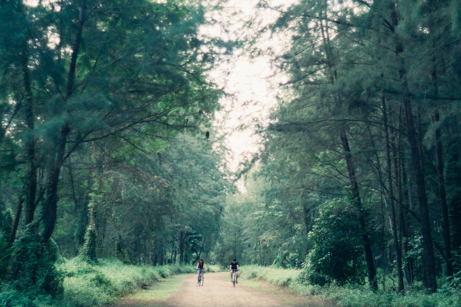  photo DSC01083_zpsk0rmlqtc.jpg