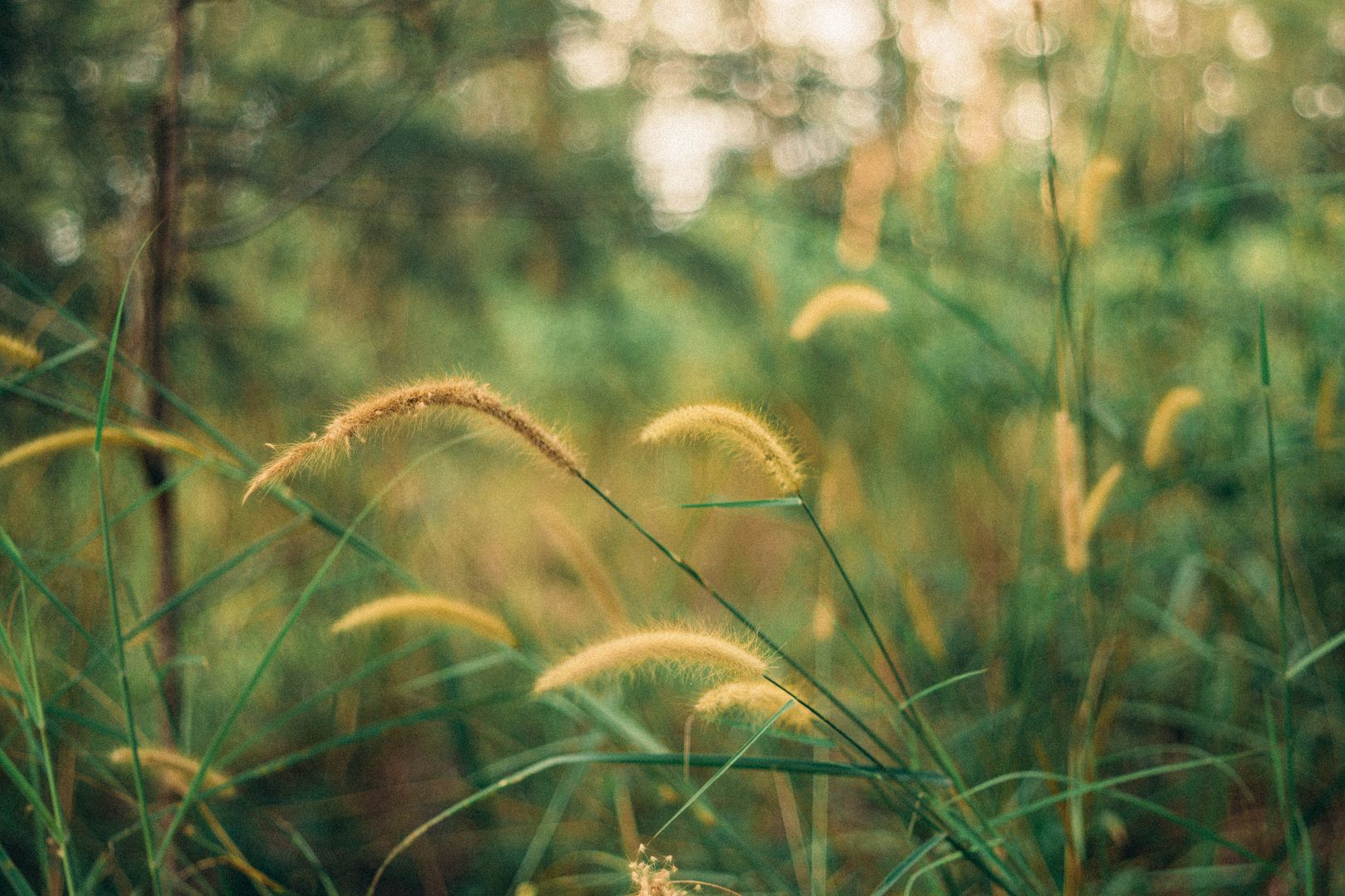  photo DSC01092_zpsckdibwly.jpg