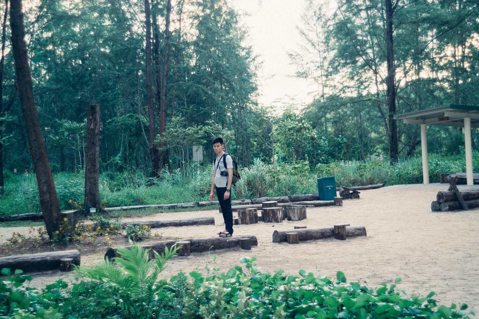  photo DSC01094_zpsfjqqdnpn.jpg