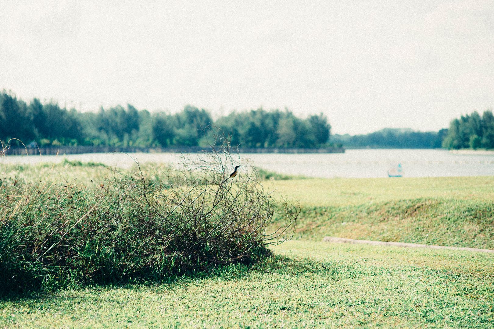  photo DSC03211_zpsgghx4a32.jpg