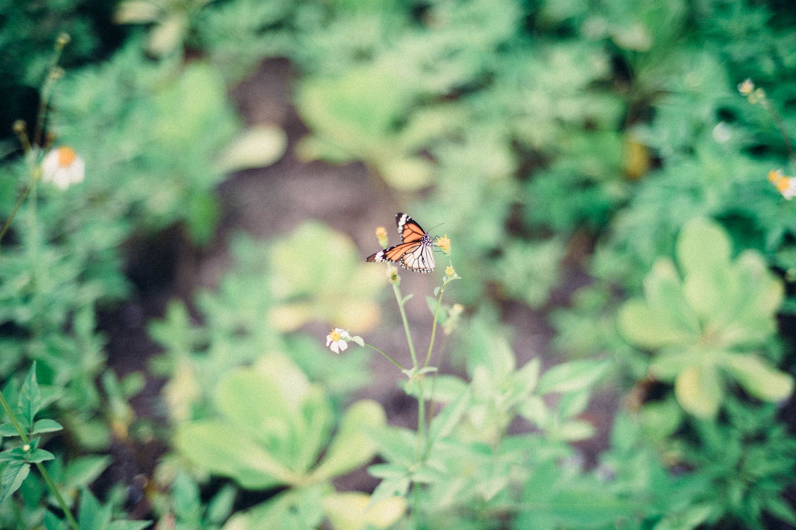  photo DSC03234_zpsej2xxekc.jpg