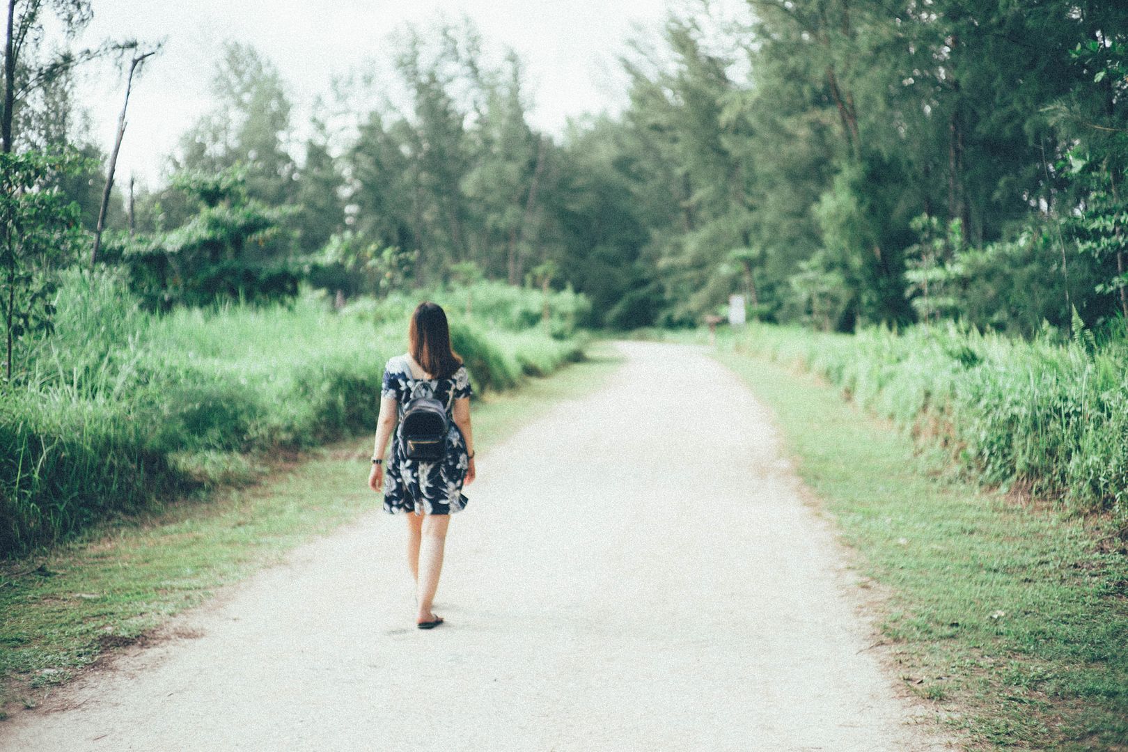  photo DSC03241_zps1lvb0tsv.jpg