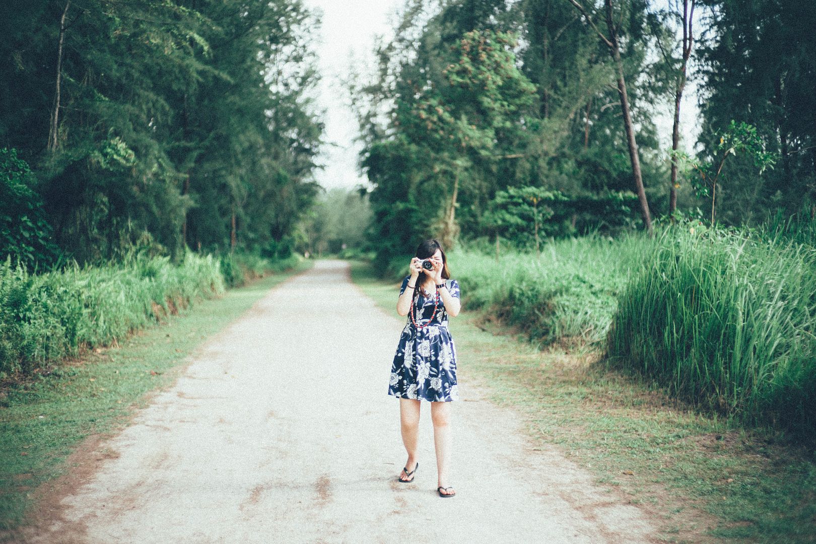  photo DSC03251_zpsu88uicuz.jpg