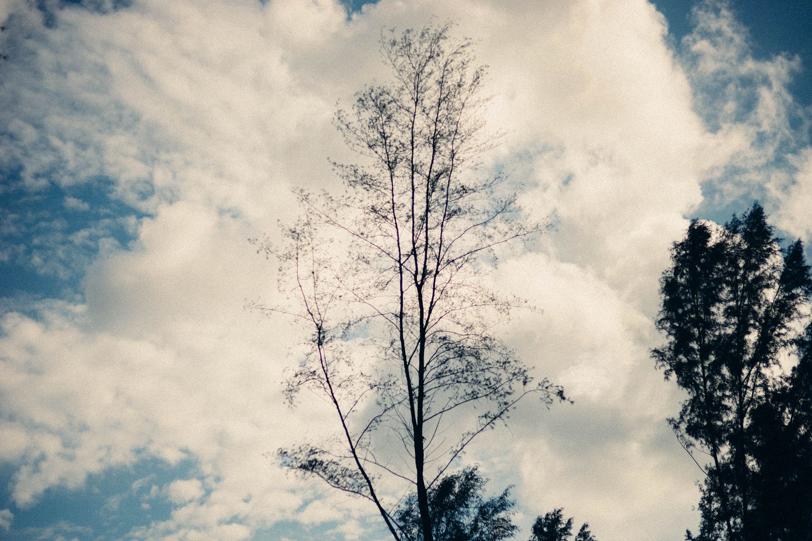  photo DSC03268_zpsfoxcsaqg.jpg