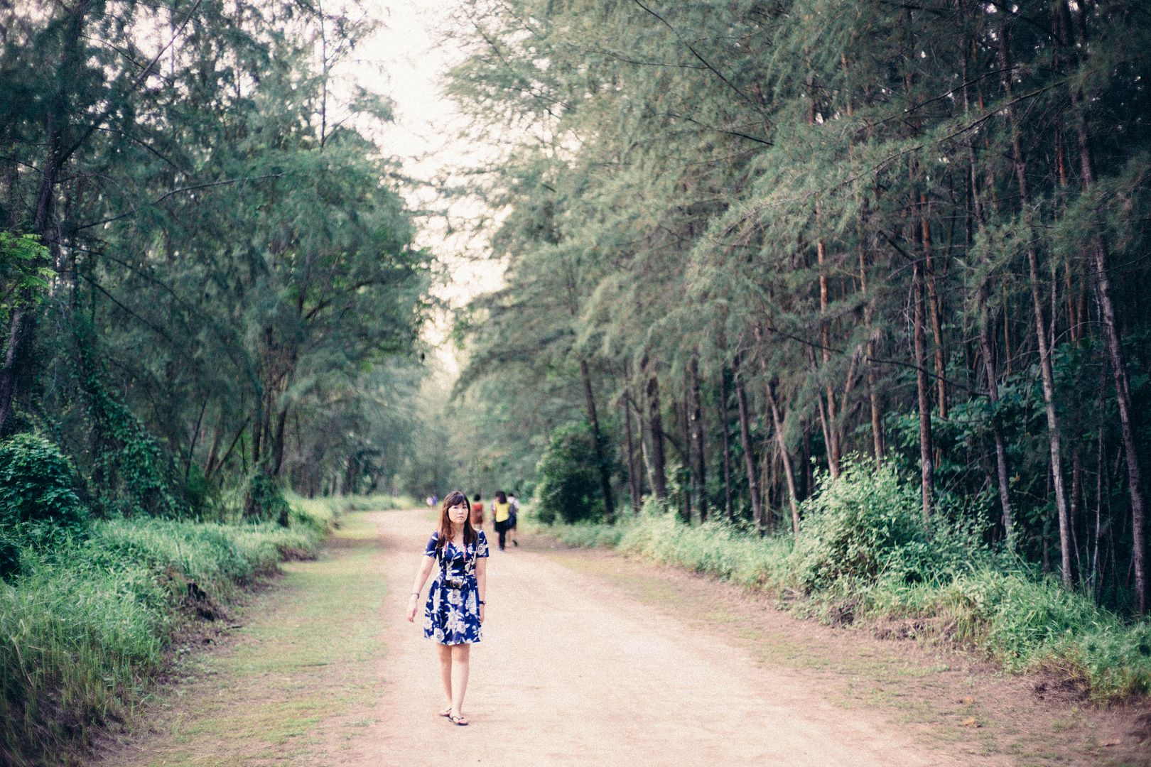  photo DSC03281_zpsz9u27aa6.jpg