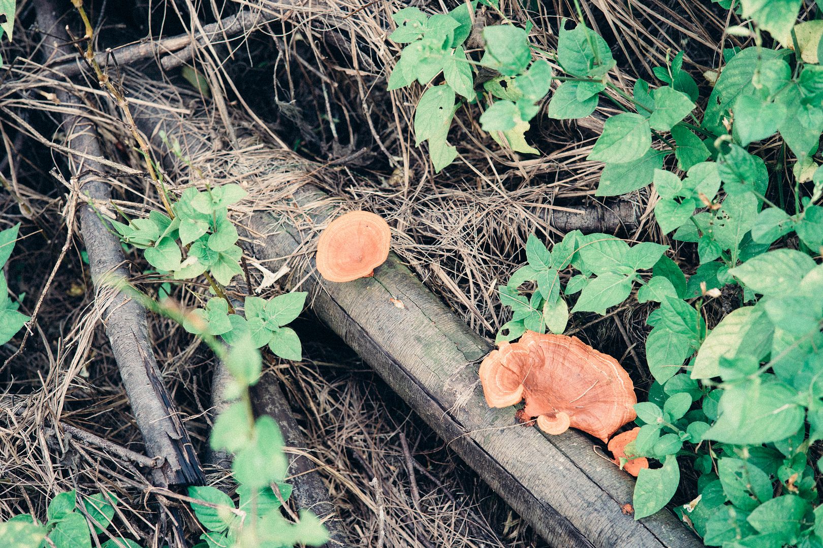  photo DSC03348_zpsct0w6ryl.jpg