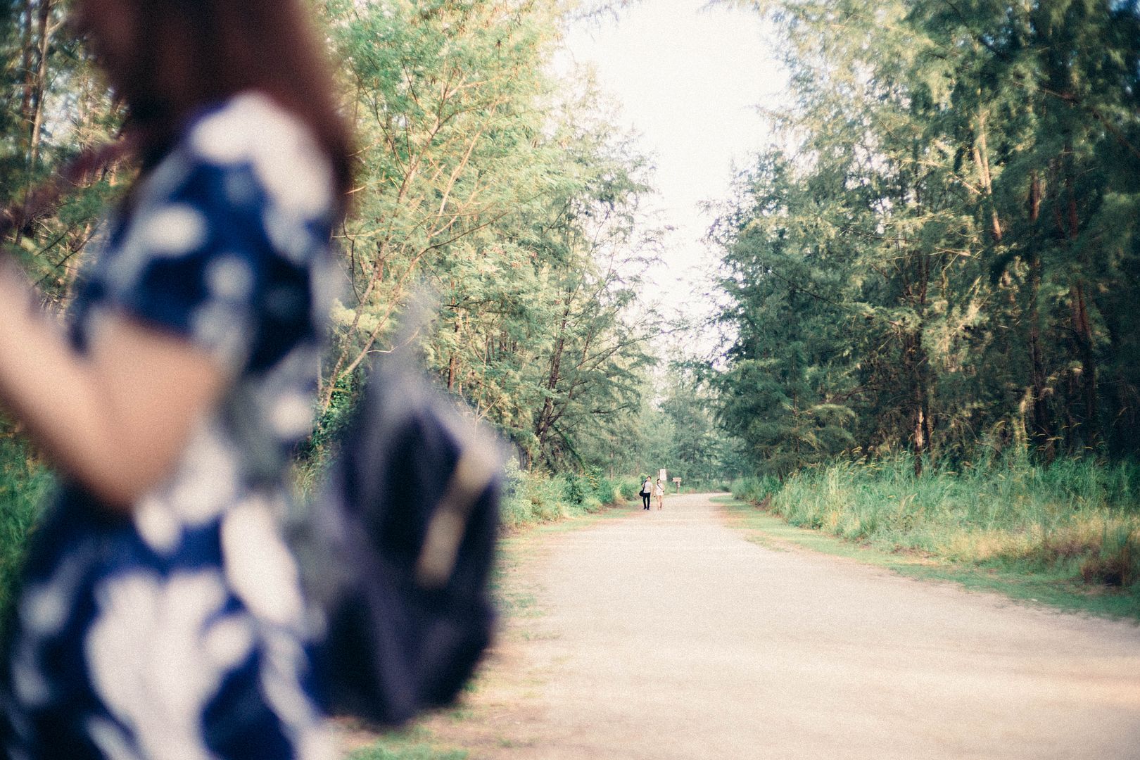  photo DSC03363_zpsolvncbd1.jpg