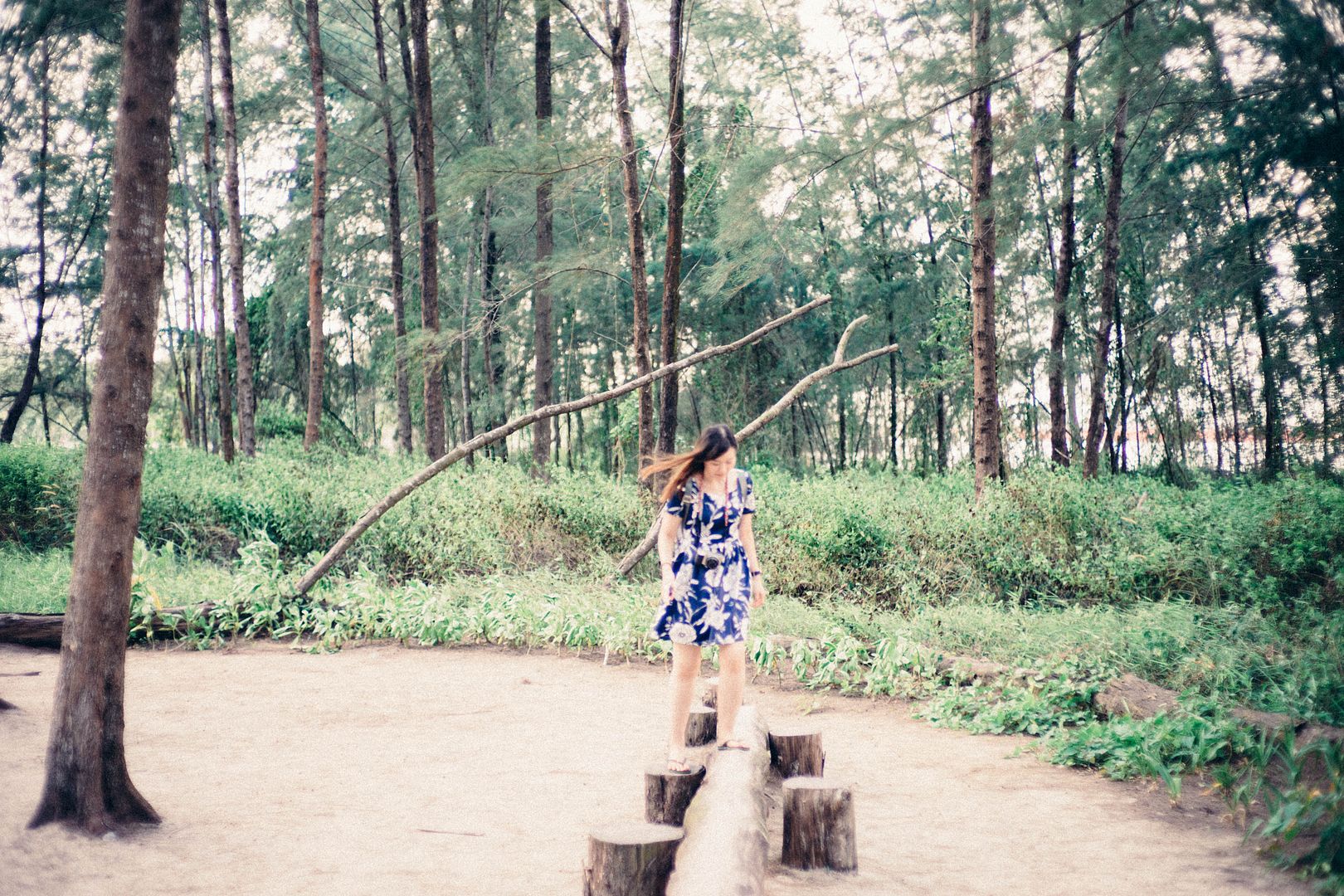  photo DSC03377_zpsereggkim.jpg