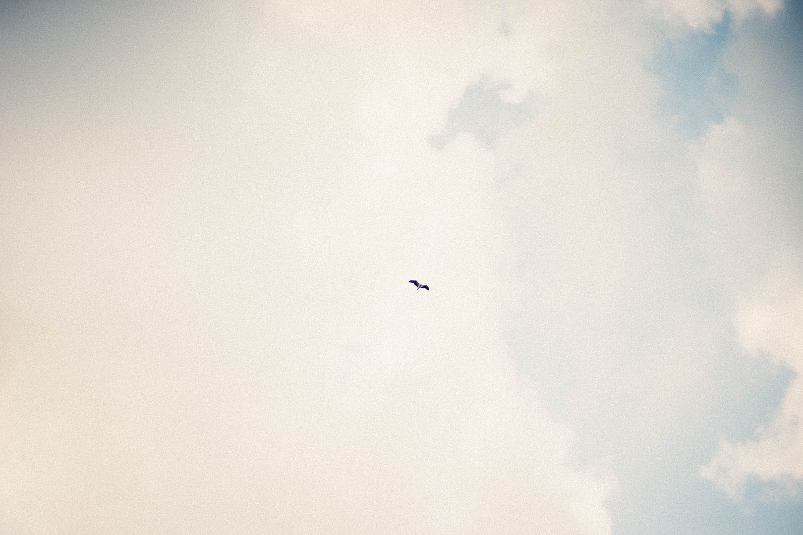  photo DSC03409_zpsktm4ssvh.jpg