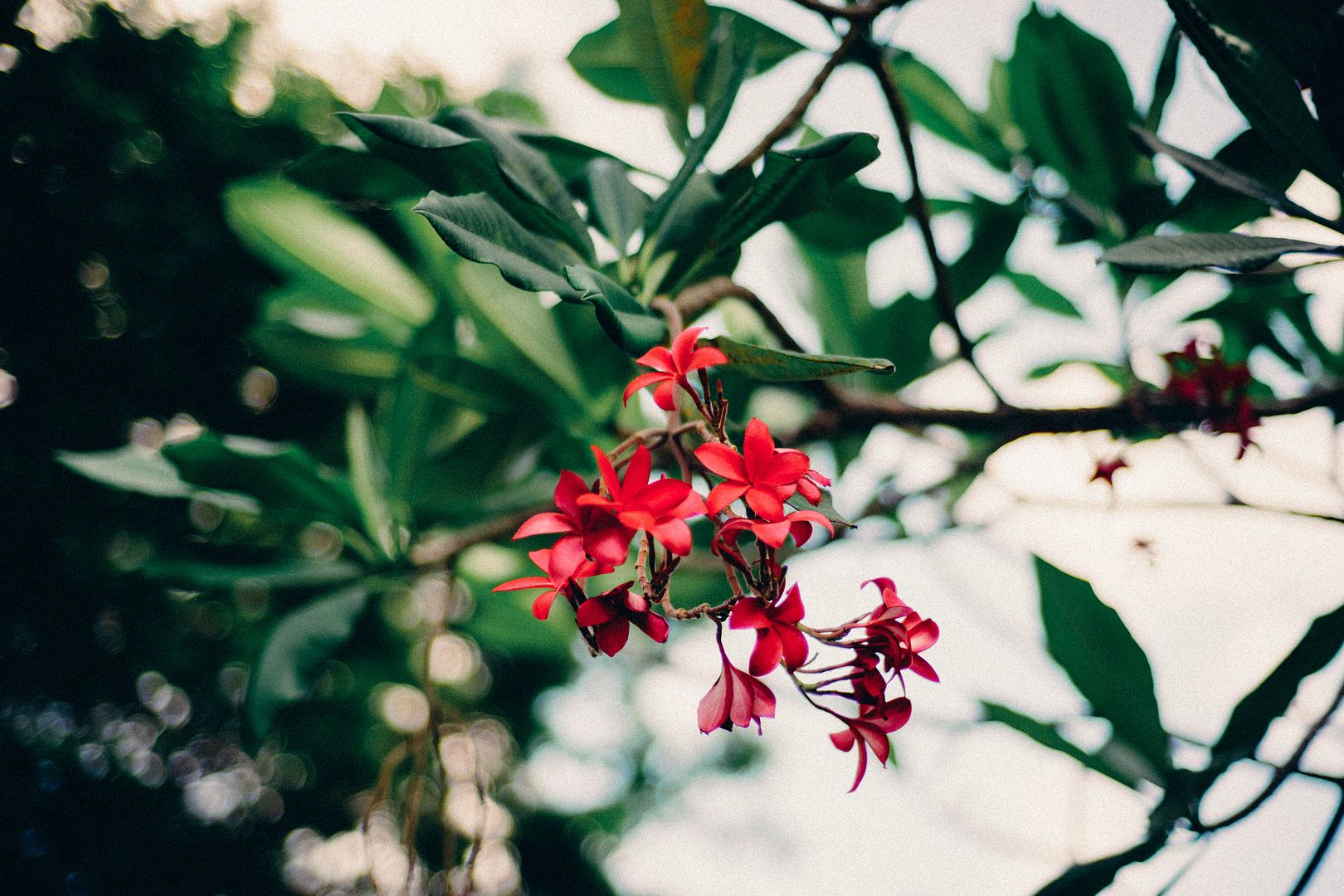  photo DSC03760_zps24tdv3ak.jpg