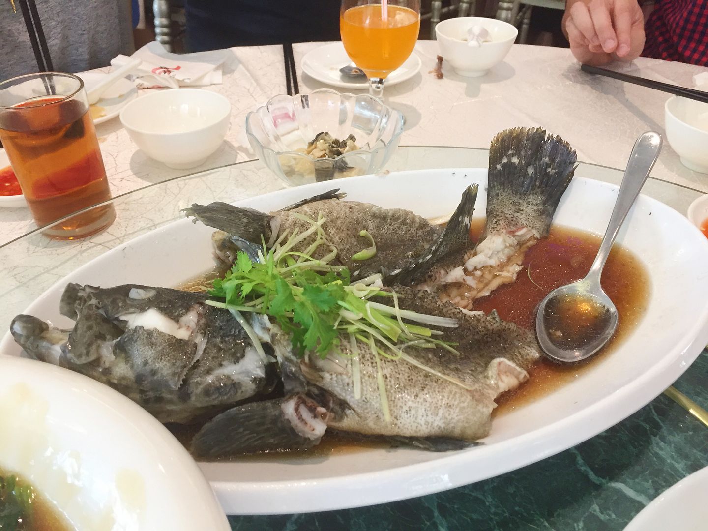 photo IMG_3441_zpskq08sbhq.jpg