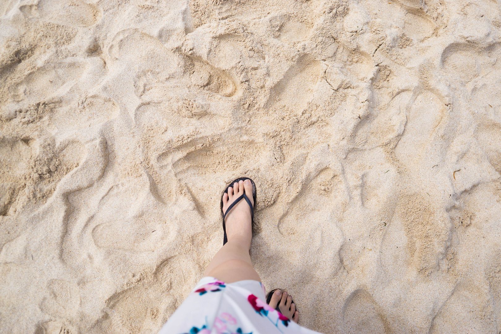  photo 14_zpsg2akeyaw.jpg