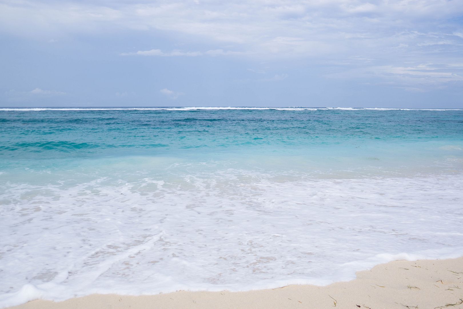  photo 16_zpskvag4nwm.jpg