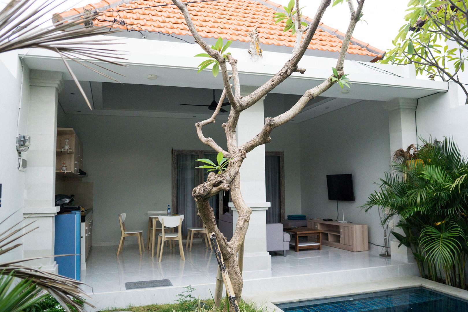  photo 2_zpswx7vglnk.jpg