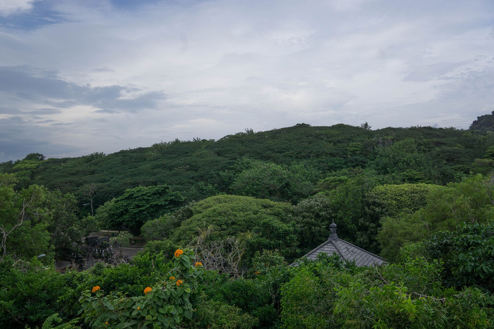 photo 63_zpsht8o3pno.jpg