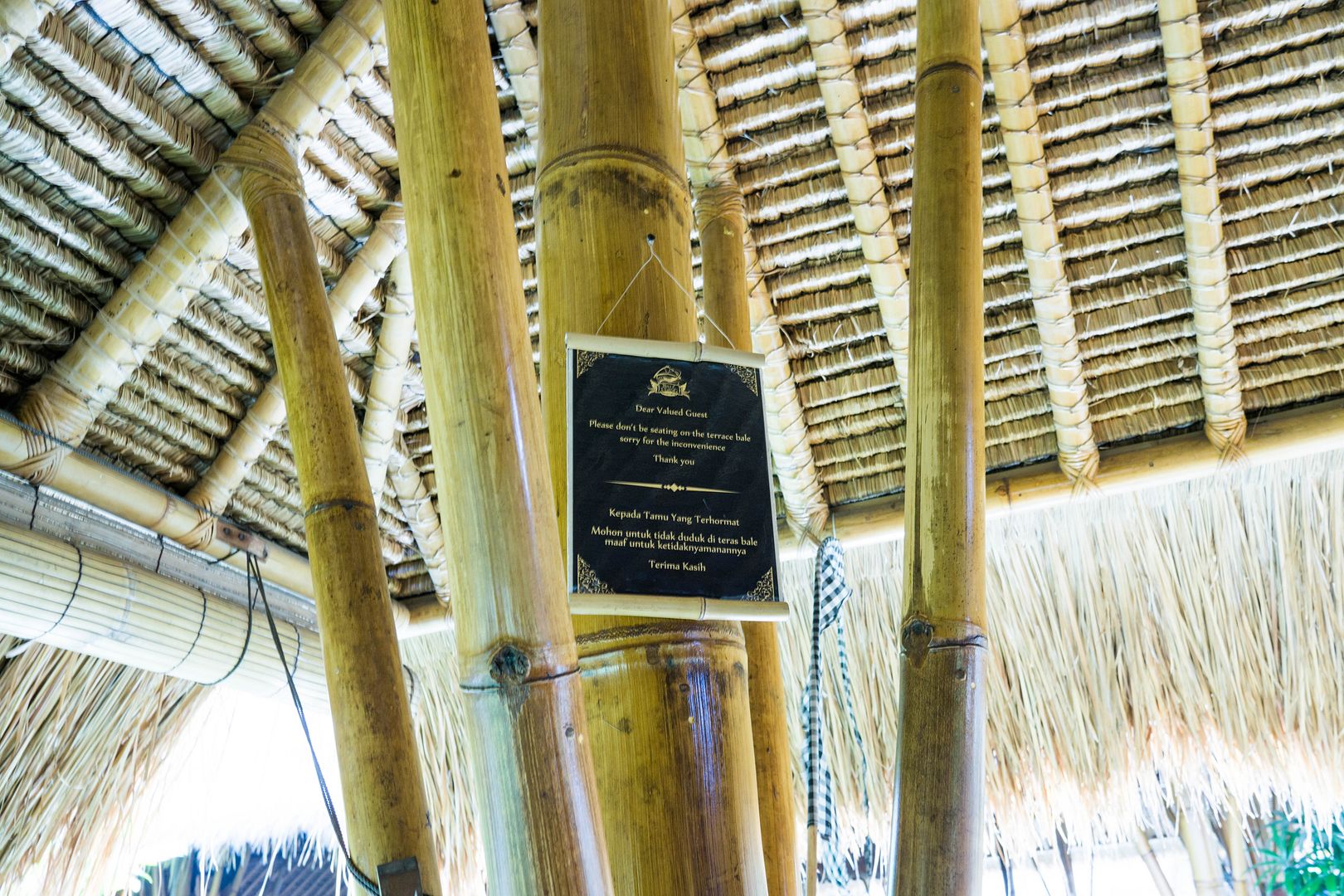  photo 21_zpscfoote9m.jpg