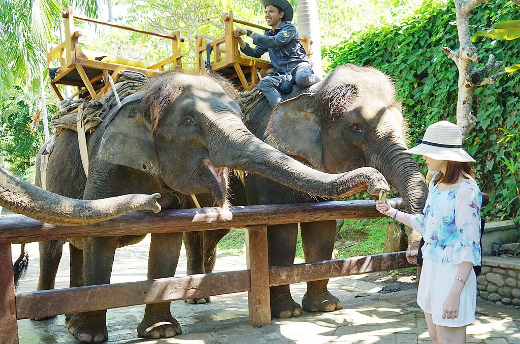  photo 10_zpsum3rx9sx.jpg