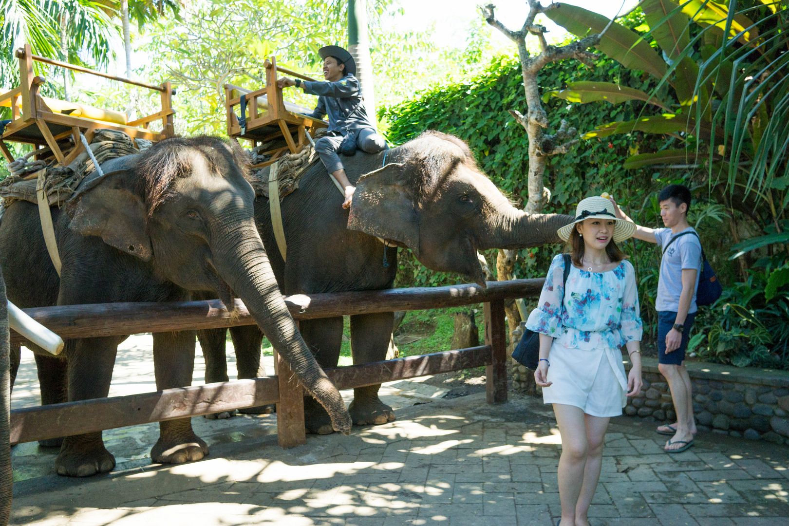  photo 12_zpsagjon9et.jpg