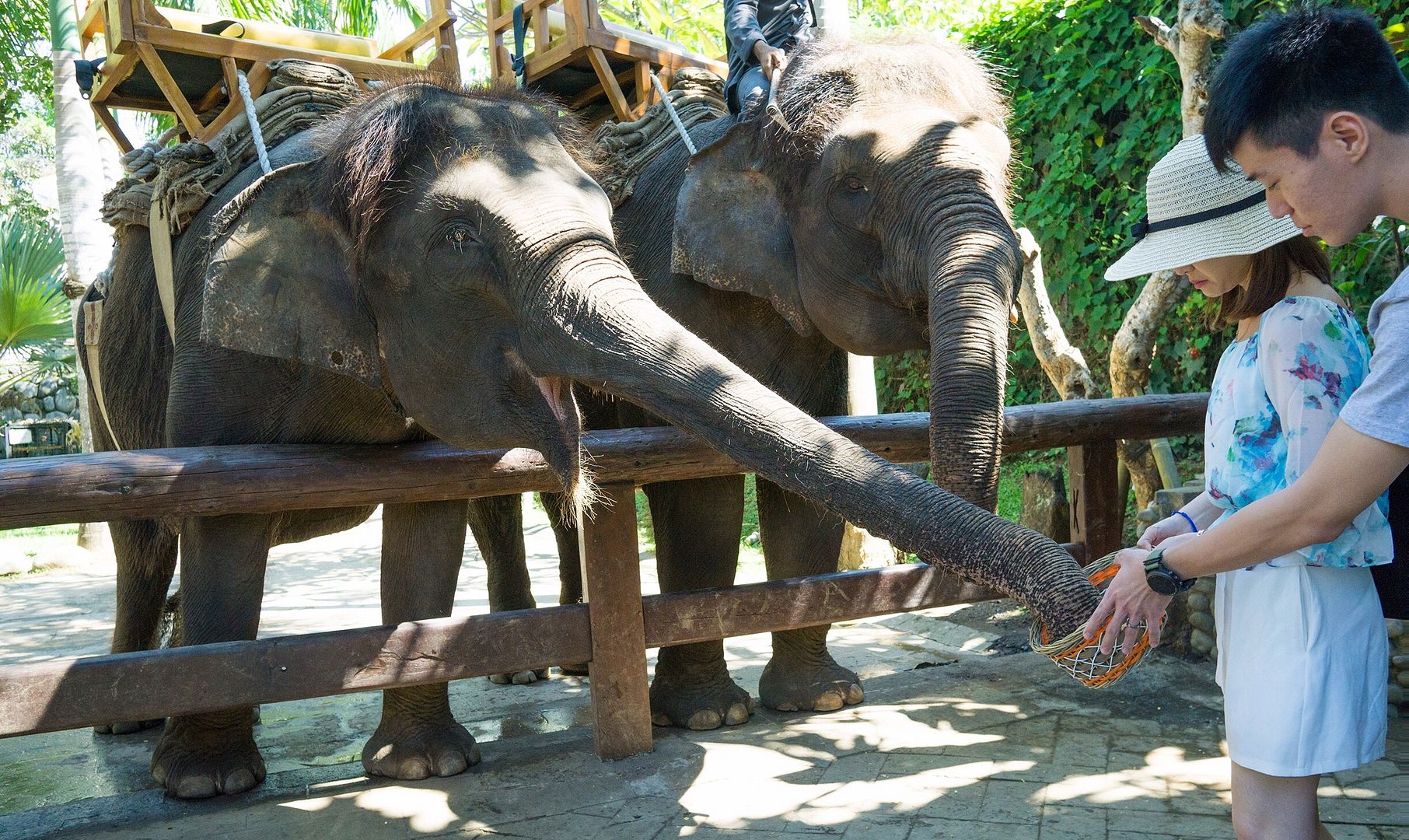  photo 13_zpso8obv8zs.jpg