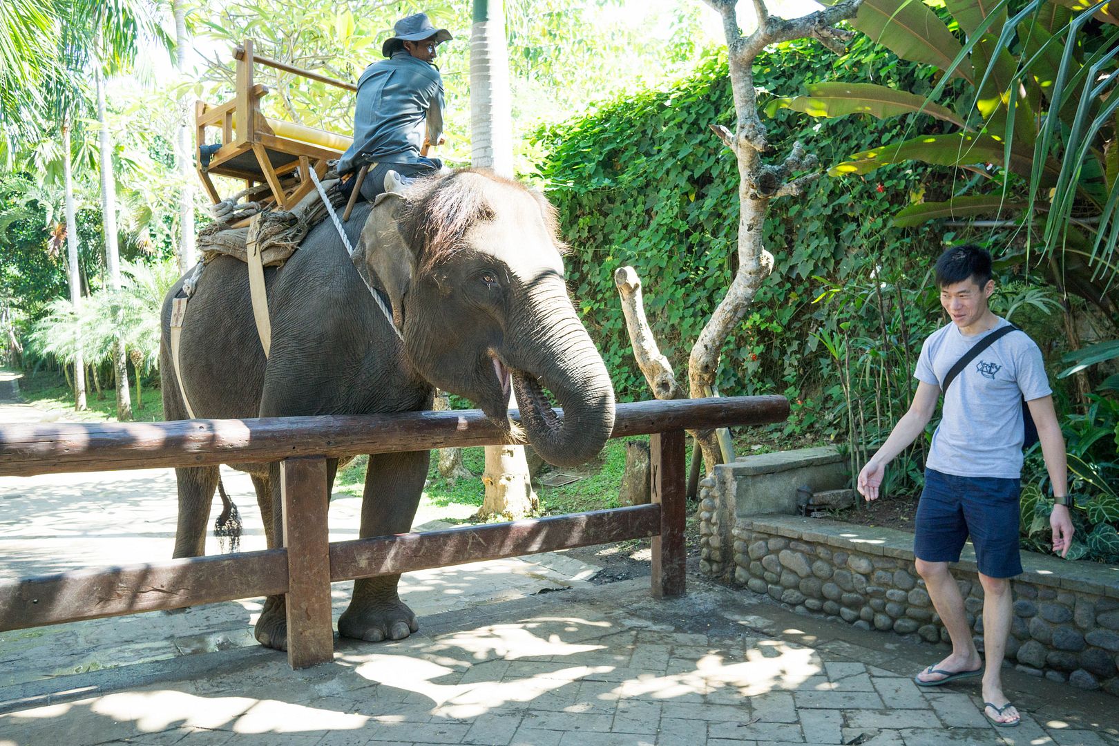  photo 14_zpsj3ynvo21.jpg