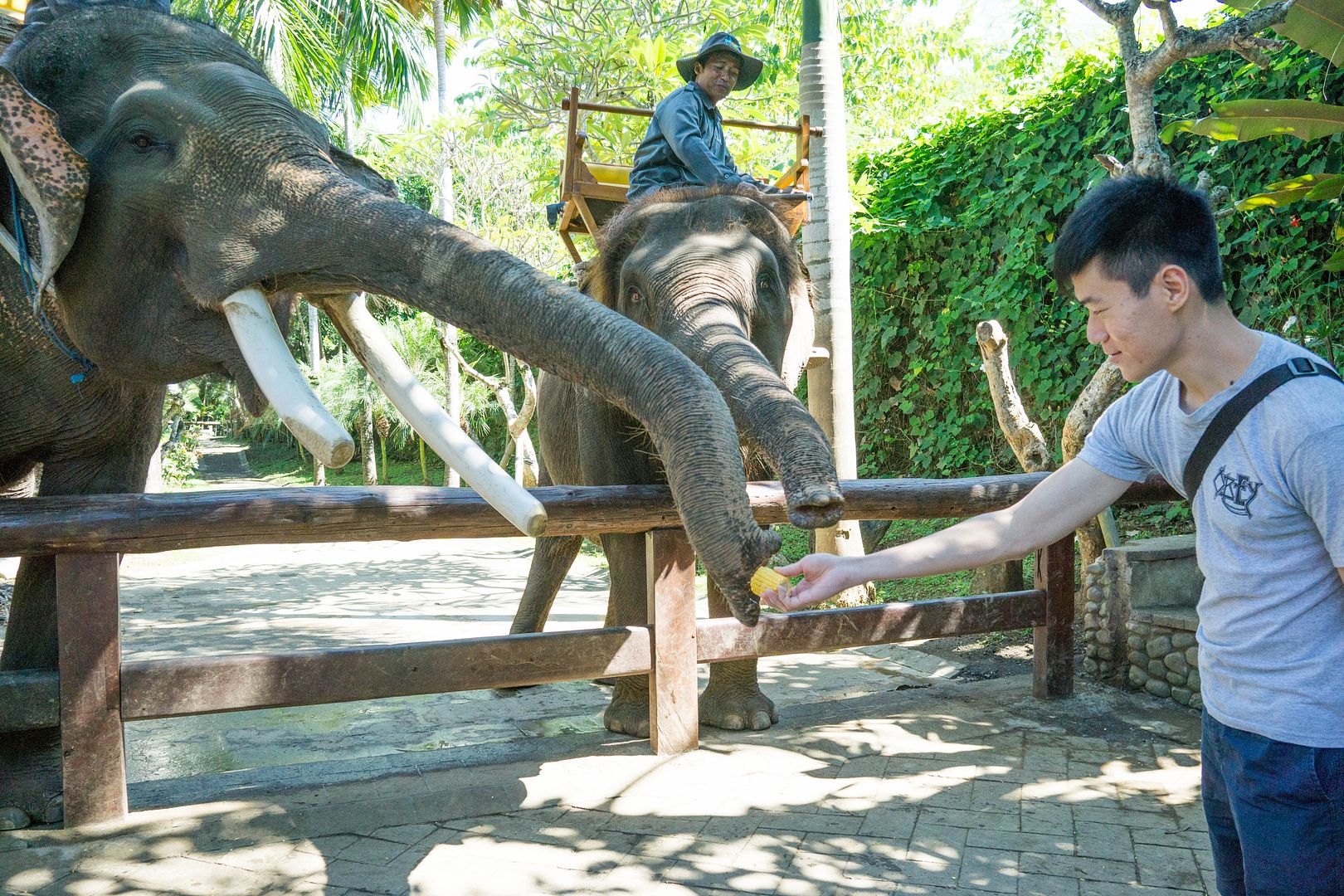  photo 15_zpsjfd4fmff.jpg