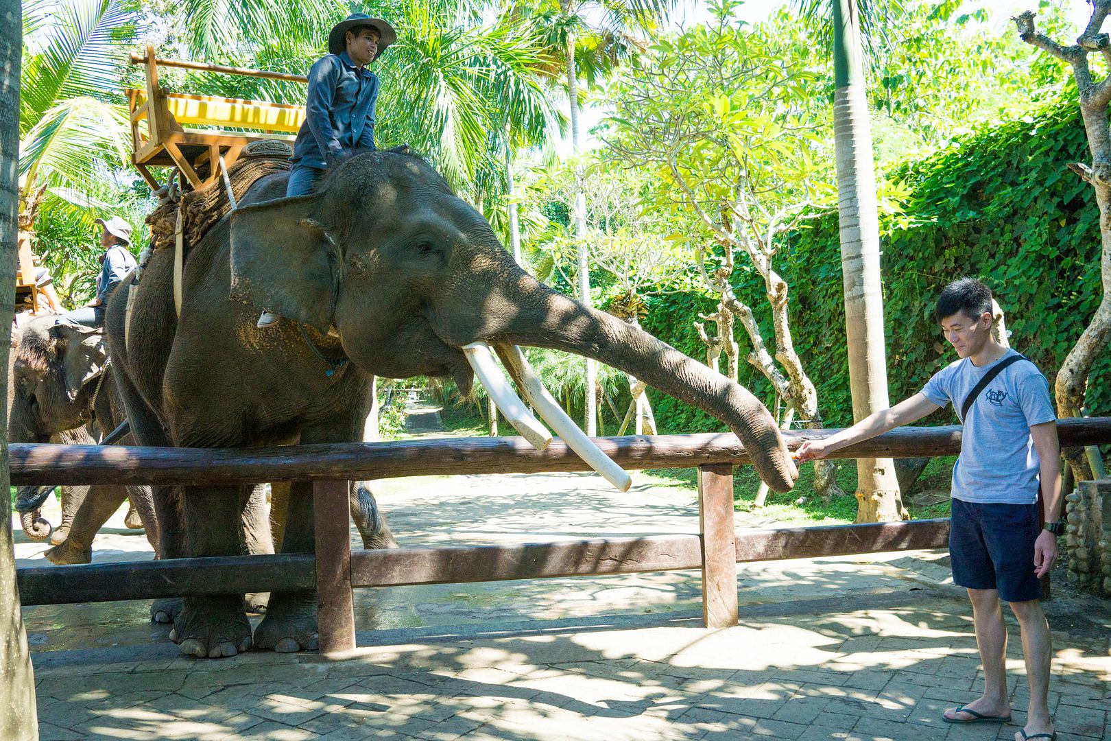  photo 16_zpsr300x6th.jpg