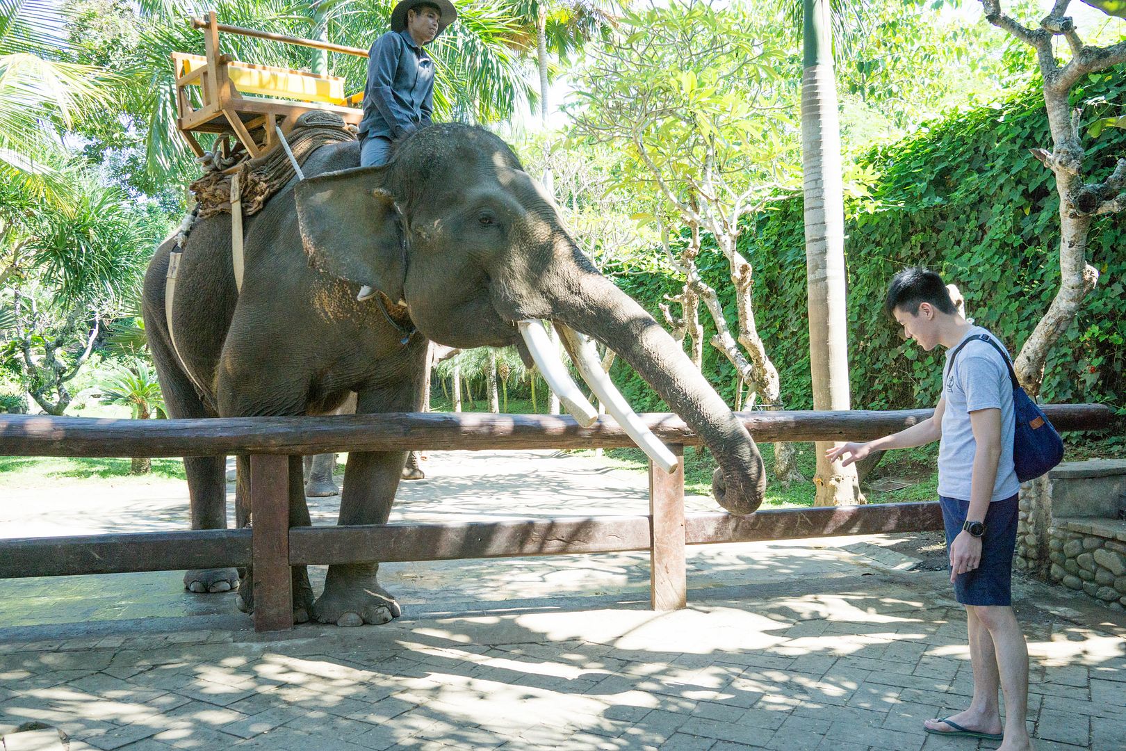  photo 17_zps4gnb2sb9.jpg