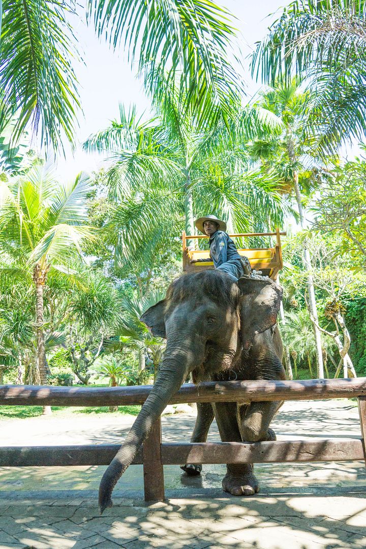  photo 19_zpsfa8ur7gn.jpg