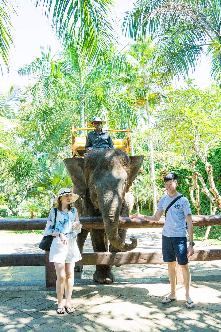  photo 20_zpsofwour3v.jpg