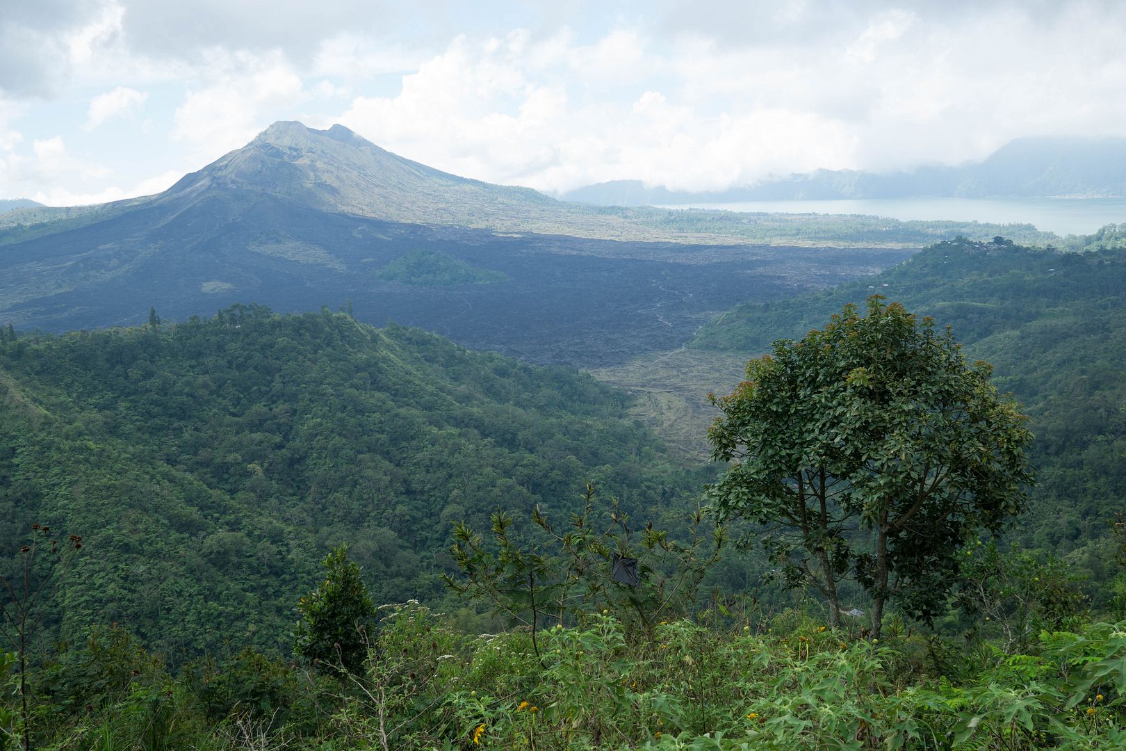  photo 29_zpshdkhevms.jpg