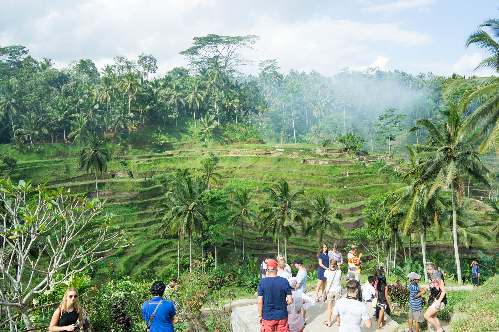  photo 48_zpshjfrfdsa.jpg