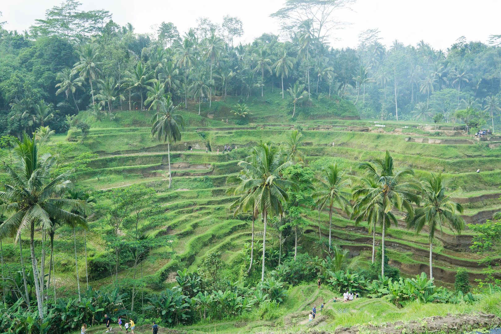  photo 50_zpsdyvssoum.jpg