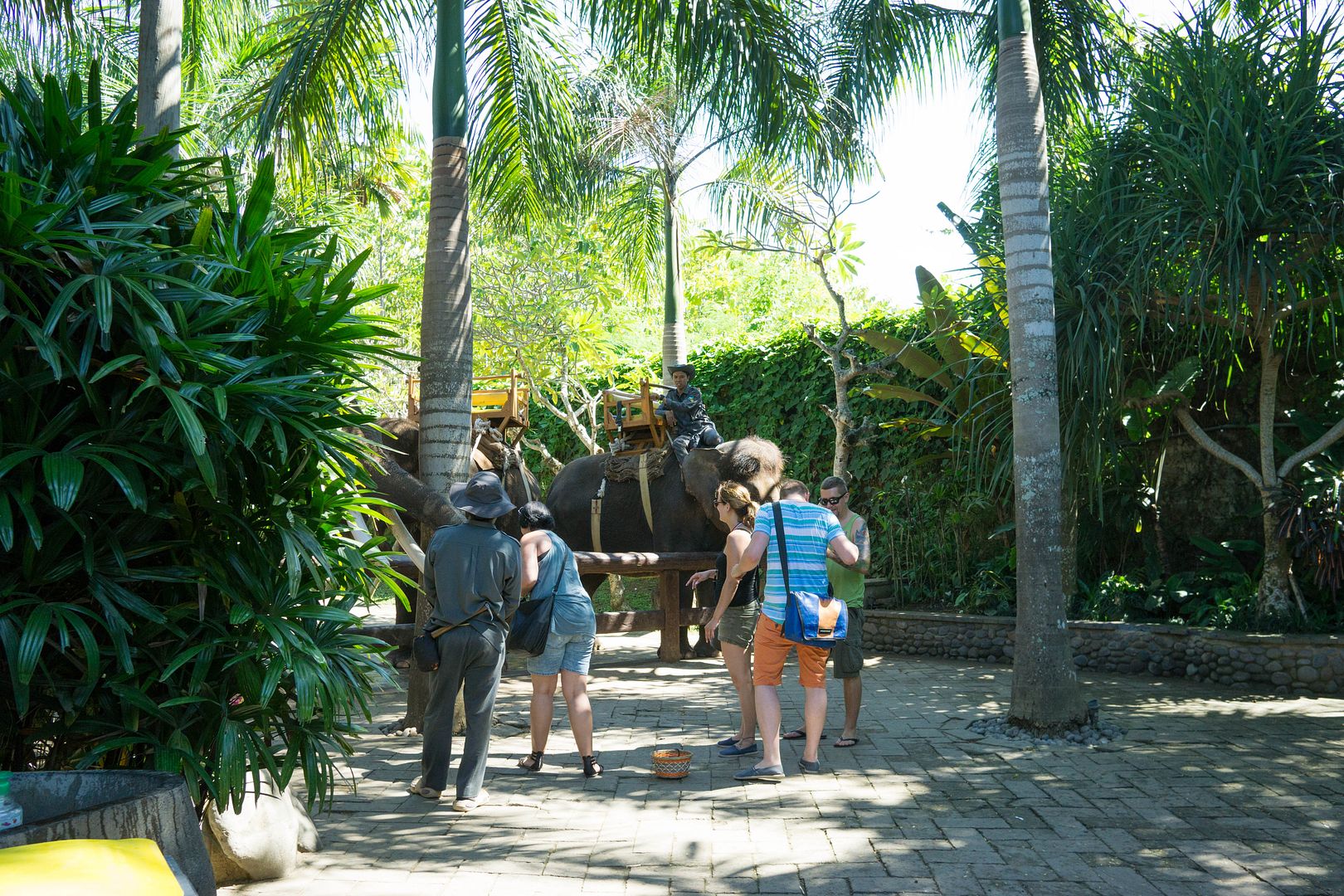  photo 6_zpsfluxkdiv.jpg