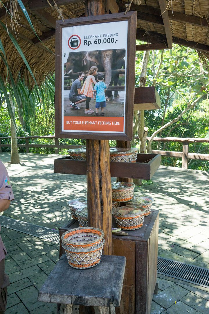  photo 7_zpsfaounpwf.jpg