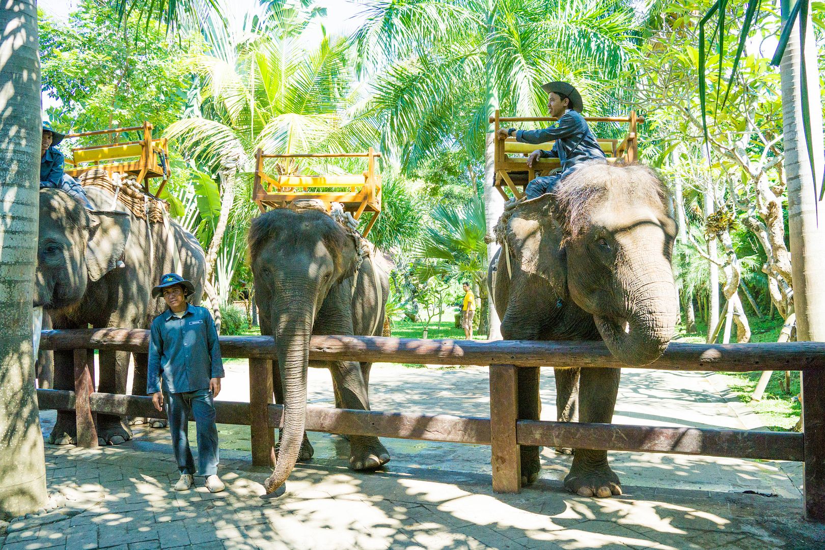  photo 8_zpsbfq0airp.jpg