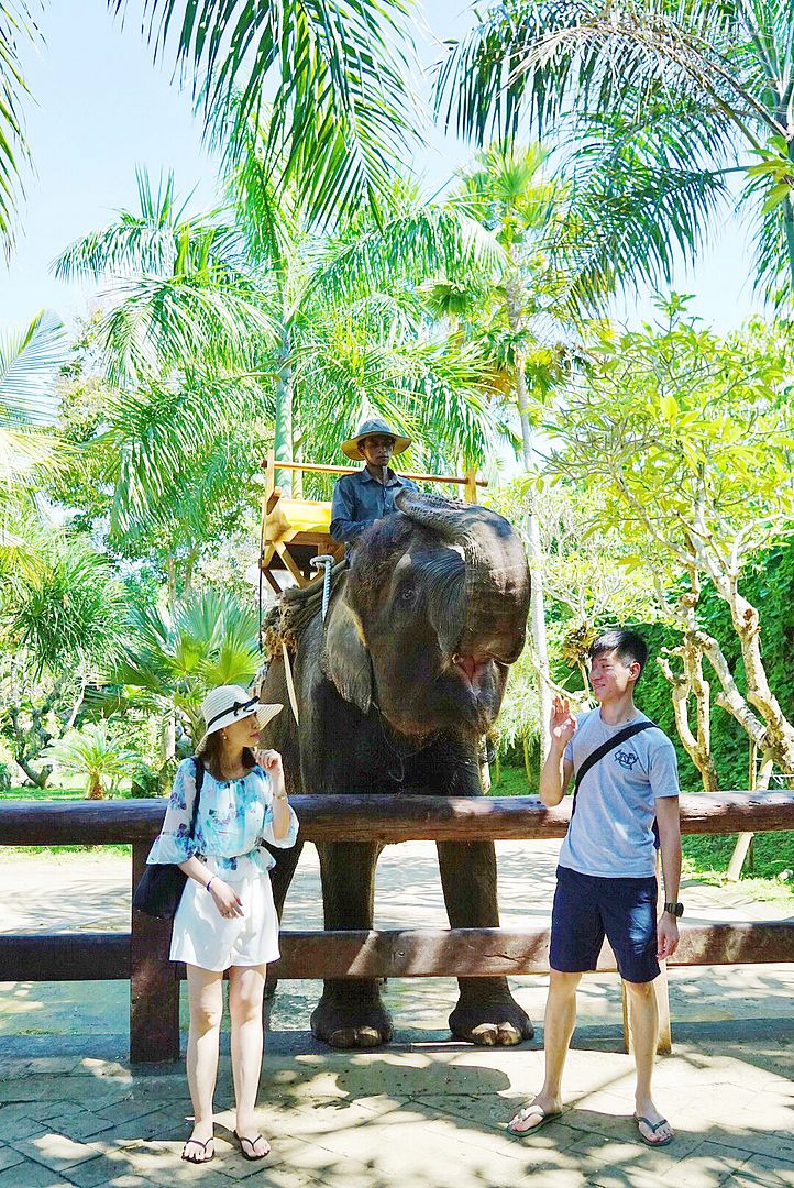  photo IMG_5558_zps8jep2pqa.jpg