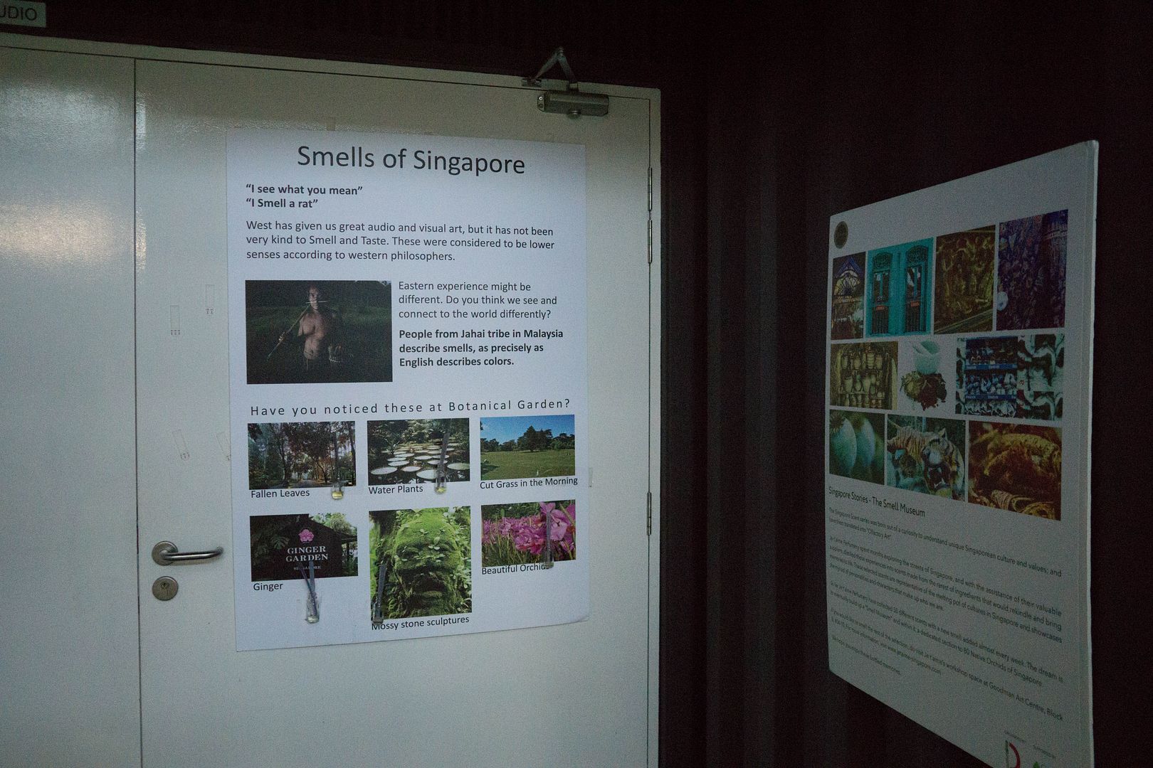  photo pink33_zps1u1jptga.jpg