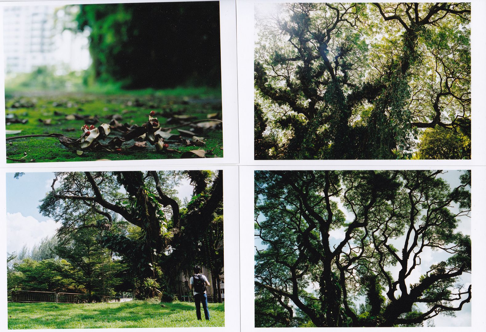 photo IMG_20141216_0001_zps32215ef9.jpg