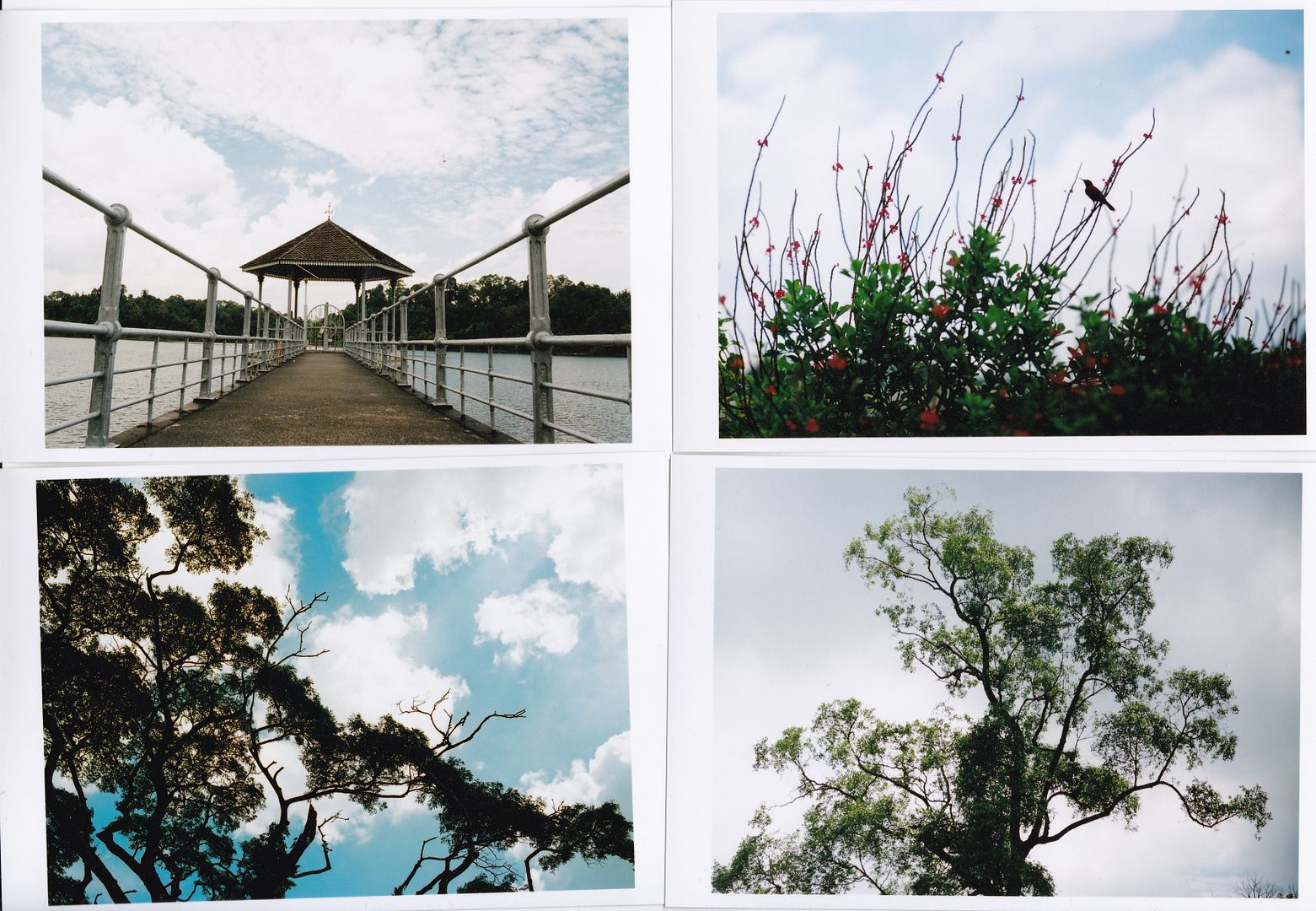 photo IMG_20141216_0002_zpse99bc1e5.jpg